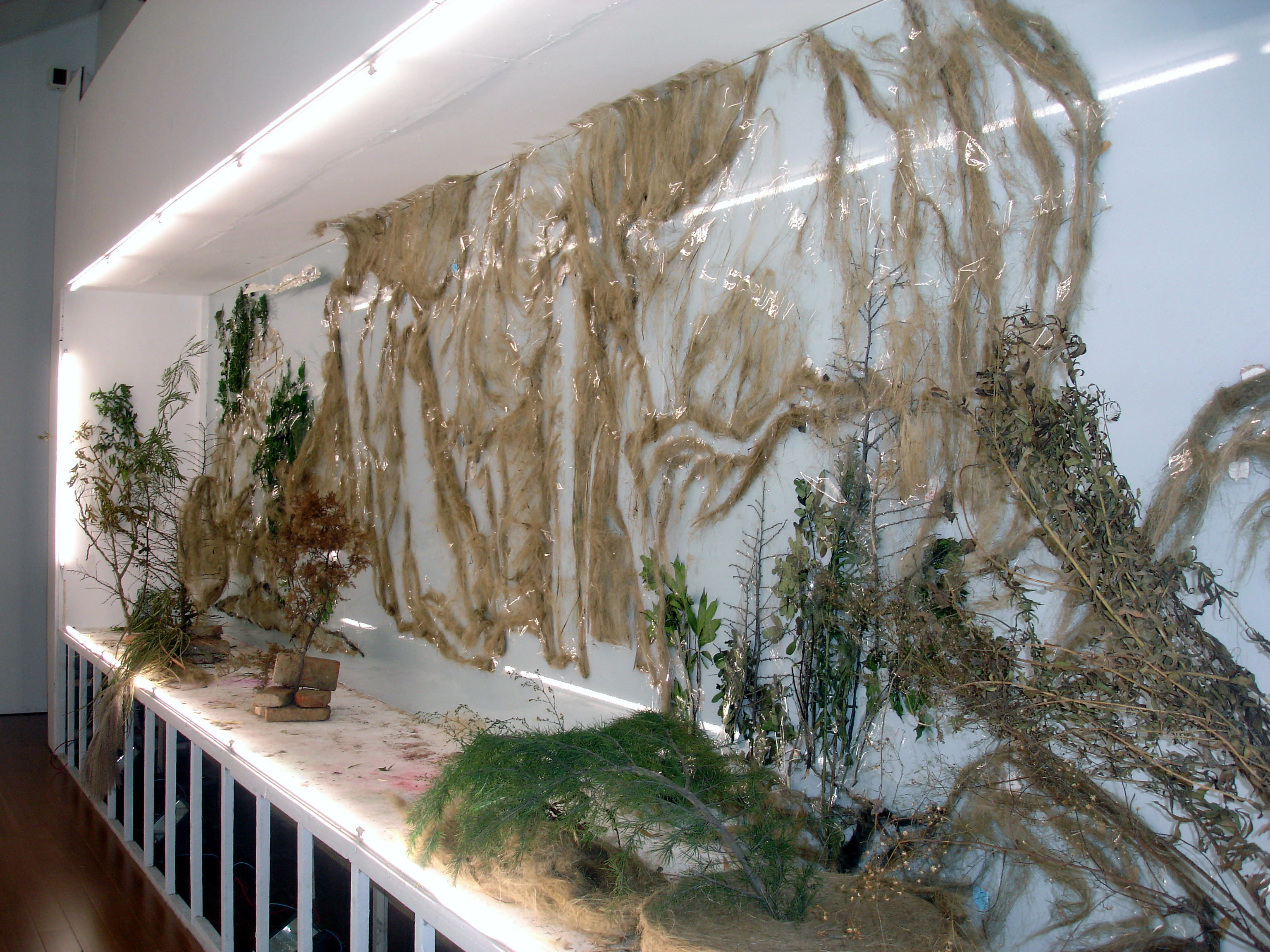 In Conversation Xu Bing Museum of Arts and Design